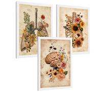 Nacnic Set Di 3 Stampe Anatomia Umana Floreale Vintage Poster E Quadri Con Polmoni Gabbia Toracica E Cervello Stile Botanico Antico Decorazione Da Parete Medica Dimensione A3 Cornice Bianca