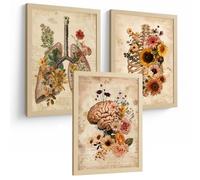 Nacnic Set Di 3 Stampe Anatomia Umana Floreale Vintage Poster E Quadri Con Polmoni Gabbia Toracica E Cervello Stile Botanico Antico Decorazione Da Parete Medica Dimensione A3 Senza Cornice