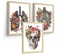 Nacnic Set Di 3 Stampe Anatomia Umana Poster E Quadri Con Polmoni Trachea Bronchi Costole Colonna Vertebrale E Cranio Design Floreale Decorazione Da Parete Medica Dimensione A3 Telaio In Legno Chiaro