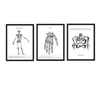 Nacnic set di 3 stampe artistiche moderne di anatomia in bianco e nero con immagini del corpo umano. Biologia con dettaglio scheletro,mano, bacino. Medicina generale- medico ospedali.