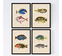Nacnic Set di 4 fogli di effetto vintage di pesce colorato. Composizione di 8 pesci diversi in misura A4, vecchia carta del poster della priorità bassa della carta dell'annata 250 gr Con Marco.