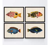 Nacnic Set di 4 Piatti con Effetto Vintage Pesce Azzurro Colorati, Giallo. Isola Taliabu. 4 Composizione Pesci Diversi in Formato A3, Sfondo Vecchia Carta Vintage Post