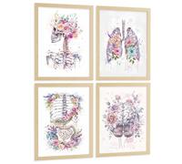 Nacnic Set Di 4 Stampe Anatomia Umana Poster E Quadri Con Cranio Polmoni Sistema Digestivo E Cervello Stile Floreale Acquerello Decorazione Da Parete Medica Dimensione A3 Senza Cornice
