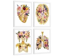 Nacnic Set Di 4 Stampe Anatomia Umana Poster E Quadri Con Cuore Cervello Cranio Polmoni Trachea Bronchi Stile Floreale Dorato Decorazione Da Parete Medica Dimensione A4 Cornice Bianca