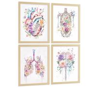 Nacnic Set Di 4 Stampe Anatomia Umana Poster E Quadri Con Cuore Cervello Polmoni Trachea Bronchi Colonna Vertebrale Design Floreale Acquerello Decorazione Medica Dimensione A3 Telaio In Legno Chiaro