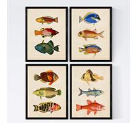 Nacnic Set di 4 stampe artistiche sfondo vintage rappresentazione di 12 pesci diversi. Immagini ittiche. Pesci del mediterraneo. Mare e oceani.