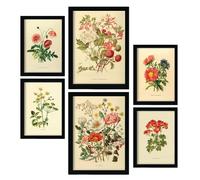 Nacnic Set di 6 Bouquet 1 Pósters. En Stampe vintage. Stampe decorative estetiche per il tuo soggiorno, camera da letto, casa Dimensioni A4 e A3