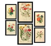 Nacnic Set di 6 Bouquet 2 Pósters. En Stampe vintage. Stampe decorative estetiche per il tuo soggiorno, camera da letto, casa Dimensioni A4 e A3