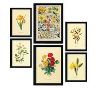 Nacnic Set di 6 Fiori gialli Pósters. En Stampe vintage. Stampe decorative estetiche per il tuo soggiorno, camera da letto, casa Dimensioni A4 e A3