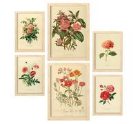 Nacnic Set di 6 Fiori rosa rosa Pósters. En Stampe vintage. Dipinti decorativi estetici per il tuo soggiorno, camera da letto, casa Dimensioni A4 e A3 con cornici Lightwood