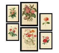 Nacnic Set di 6 Fiori rosa rosa Pósters. En Stampe vintage. Stampe decorative estetiche per il tuo soggiorno, camera da letto, casa Dimensioni A4 e A3