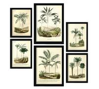 Nacnic Set di 6 Palme Pósters. En Stampe vintage. Stampe decorative estetiche per il tuo soggiorno, camera da letto, casa Dimensioni A4 e A3