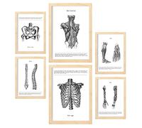 Nacnic - Set di 6 poster di anatomia (muscoli, gamba, braccio, colonna vertebrale, bacino). Ideali per studi medici o sale studio. Formati A3 e A4 con cornice in legno.