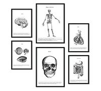 Nacnic set di 6 poster di anatomia umana. Collezione di fogli decorativi nordici per la decorazione di uffici e studi. Formati A3 e A4. Con cornice nera