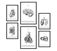 Nacnic Set di 6 poster di organi interni. Raccolta di piatti con collage estetico per la decorazione d'interni. Taglie A3 e A4. Frameless.