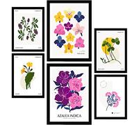 Nacnic Set di 6 poster floreali. Scala cromatica. Stampe Naturali e Botaniche per Interior Design e Decorazione. A3 & A4, cornici nere.