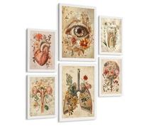 Nacnic Set Di 6 Stampe Anatomia Classica Poster E Quadri Con Occhio Cuore Dente Utero Polmoni E Cervello Stile Manoscritto Botanico Medico Senza Cornice A3 & A4 Cornice Bianca