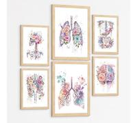Nacnic Set Di 6 Stampe Anatomia Umana Floreale Acquerello Poster E Quadri Con Cervello Polmoni Scheletro Reni E Organi Decorazione Da Parete Medica Botanica Dimensione A3 & A4 Senza Cornice
