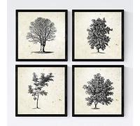 Nacnic Set di quattro fogli di alberi. Gli alberi con e senza foglio di formato 30x30 cm, Antico Vintage poster di carta sfondo di carta da 250 gr e gli inchiostri di alta qualità. senza telaio