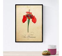 Nacnic vintage poster fiori. Iris foglio foetidissima con design vintage. Botanica interior design. formato A4