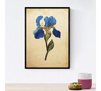 Nacnic vintage poster fiori. Iris missouriensis foglio con design vintage. Botanica interior design. formato A4