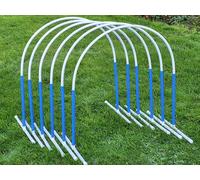 NADAC Hoopers - 6 fogli con supporto (blu), conforme a VDH, Fun-Hoopers