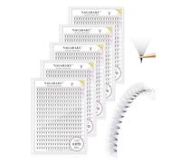 NAGARAKU 5er Pack 10D Premade Fans 320 Fans 0.07 D 9-14mm Volume Russo