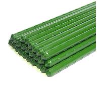 Nagoyuki Confezione da 25 pali da giardino in metallo e plastica, per piante rivestite, supporta l'arrampicata per pomodori, bagni, cetrioli, recinzioni, fagioli, 40 cm