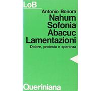 Nahum, Sofonia, Abacuc, Lamentazioni. Dolore, protesta e speranza
