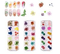 Nail art fiori secchi 3 scatole 36 colori Applique per unghie 72 pezzi 3D nail art Adesivi per decorazione fai da te nail art