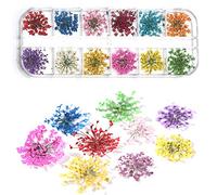 Nail art per fiori secchi, fiori veri per unghie, adesivi per unghie 3D con fiori secchi natura 12 colori 36 pezzi