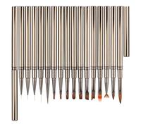 Nail Design Brush Set | 16 pezzi spazzole per pittura, Liner, Carved Details | Professional Nail Brushes for Women | Perfect for Nail Design, Art, and Drawing