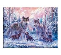 NAIMOER Diamond Painting Kit per Adulti Completo Lupi, 5D Diamantini Crystal Art Bambini, Pittura Diamante Animali Fai da Te, Strass Ricamo a Punto Croce 30x40cm
