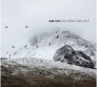 Nak Trio - Other Side of If