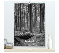 Naked: Akt + Landschaft (hochwertiger Premium Wandkalender 2026 DIN A2 hoch), Kunstdruck in Hochglanz: Stimmungsvoller Fine-Art Aktbilder von Frauen in der Natur.
