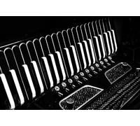 Nalbantov Microfono a fisarmonica Pickup System AMP 8S