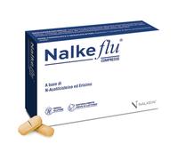 Nalkein NALKEFLU 20 COMPRESSE GASTRORESISTENTI