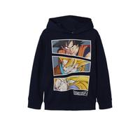 NAME IT Jil Dragon Hoodie 6 Years