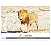 Namibia, Faszination Wüste und Tierwelt (Wandkalender 2027 DIN A3 quer), CALVEND