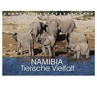 Namibia - Tierische Vielfalt (Tischkalender 2026 DIN A5 quer), CALVENDO Monatskalender: Kalender mit der Vielfalt der Tierwelt Namibias von den ganz kleinen bis zu den ganz großen Tieren.
