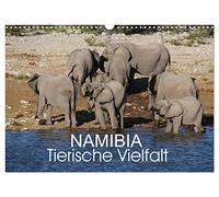 Namibia - Tierische Vielfalt (Wandkalender 2026 DIN A3 quer), CALVENDO Monatskalender: Kalender mit der Vielfalt der Tierwelt Namibias von den ganz kleinen bis zu den ganz großen Tieren.