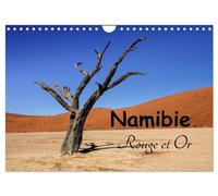 Namibie Rouge et Or (Calendrier mural 2026 DIN A4 vertical), CALVENDO calendrier mensuel: Michel DENIS, photographe et cueilleur d'images, vous fait ... rêver sur un pays magnifique: la Namibie