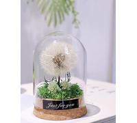 NAMIS Illustrazione desiderata, vera leone in vetro con catena luminosa a LED, regalo di compleanno per donne, eterno, leone, decorazione per compleanno, matrimonio, festa della gioventù, Natale, San