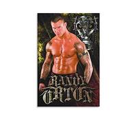 NAMNNE Quadro Su Tela 30 * 50cm Senza Cornice Randy Orton Room Decor per ragazze adolescenti pittura murale per vivere bagno casa cucina arte della parete