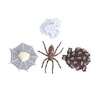 NAMOARLY 1set Modelli Di Evoluzione Animale Decorazioni Didattiche Per Insetti e Animali Simulazione Del Ciclo Di Vita Per Ragazzo Ragazza e Giochi Educativi