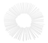 NAMOARLY 300 Pezzi Bastoncini Per Dessert Da Matrimonio Per Dolciumi Per Cake Pop Per Biscotti Per Cibo Da Festa Per Torte