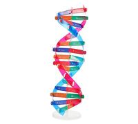 NAMOARLY Dna Doppia Kit Didattico Autoassemblante Per Strumento Educativo Per Insegnamento Scolastico e Attività Scientifiche Interattive