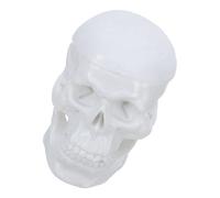 NAMOARLY Modello Anatomico Cranio Umano in Plastica Rimovibile 6,3x5 Cm per Studenti Infermieristica e Lezioni di Anatomia, Piccolo Teschio Realistico Portatile per Studio e Didattica