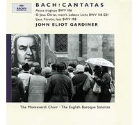 Nancy Argenta( Soprano), Michael Chance( Contralto), Anthony Rolfe( Tenore) - Cantatas (Cantate Funebri Bwv106,Bwv118)