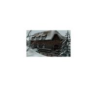 Nancy Drew Lupo Bianco di Icicle Creek (PC)